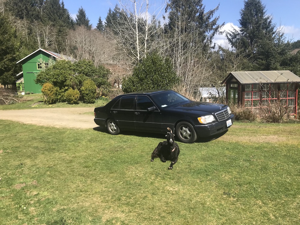 Cicero with 1999 S500.