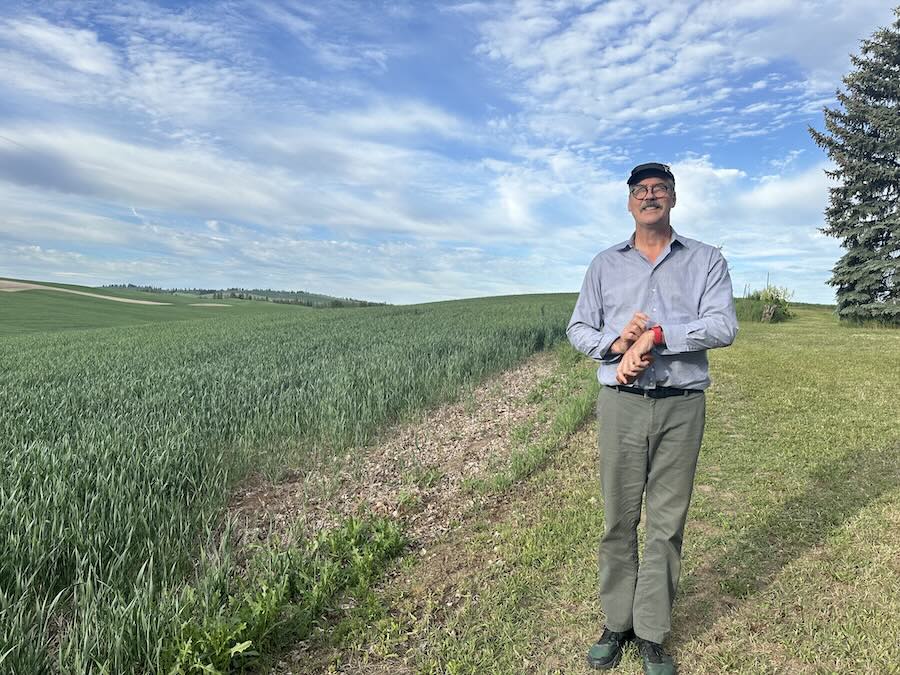 Krist with wheat field