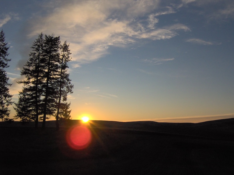 Skyline at dusk in Cheney.